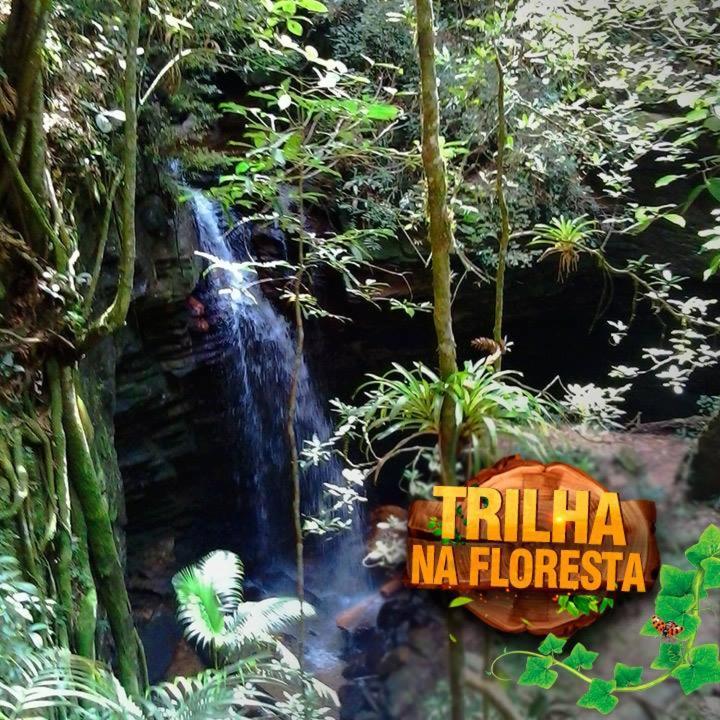 Hotel Fazenda Selva Do Mato Limpo Риу-Прету Экстерьер фото