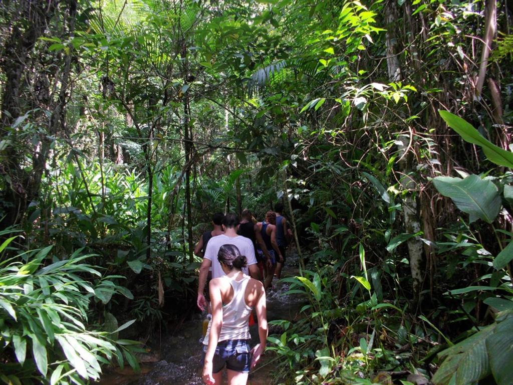 Hotel Fazenda Selva Do Mato Limpo Риу-Прету Экстерьер фото